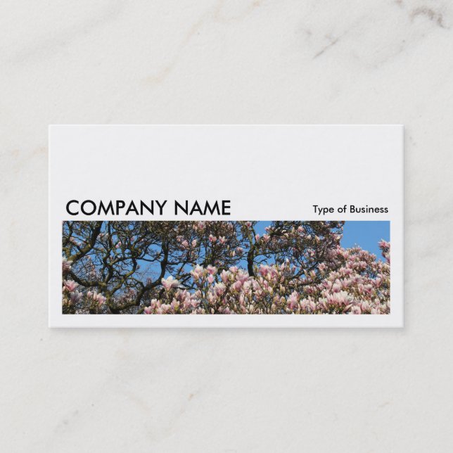 Long Picture 0172 - Magnolia Trees in Blossom Business Card (Front)