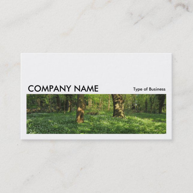 Long Picture 0210 - Spring in the Woods Business Card (Front)