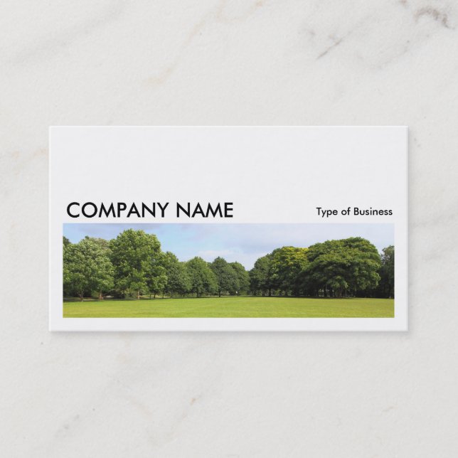 Long Picture 0211 - Playing Field Business Card (Front)