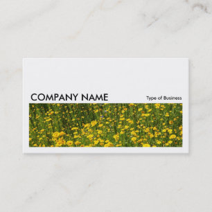 Long Picture 0213 - Bed of Yellow Daisies Business Card
