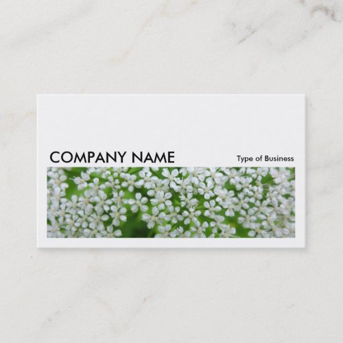 Long Picture 036 _ Cow Parsley Business Card