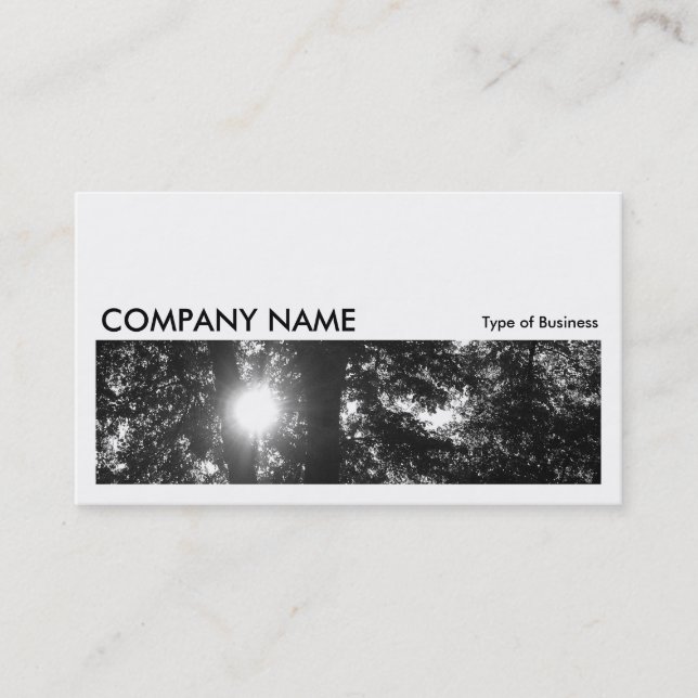 Long Picture 057 - Sun Through Trees B&W Business Card (Front)