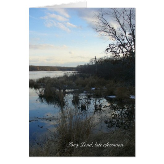 Long Pond late afternoon Cards (Front)