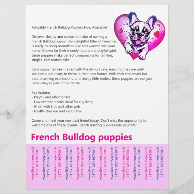 Long read French Bulldog Puppy Flyer  (Front)