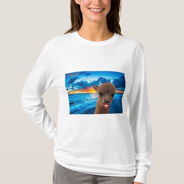 long sleeve basic tee women (Front)