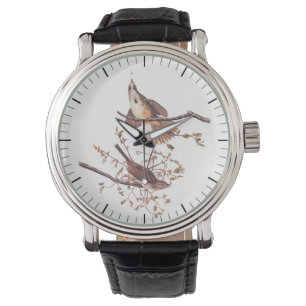 Long Sparrow Audubon Birds with Tiny Spider Watch
