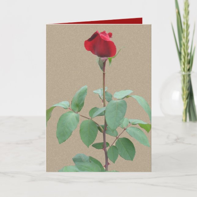 Long stem red rose holiday card (Front)