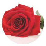 Long Stem Red Rose Stickers
