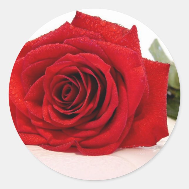 Long Stem Red Rose Stickers (Front)