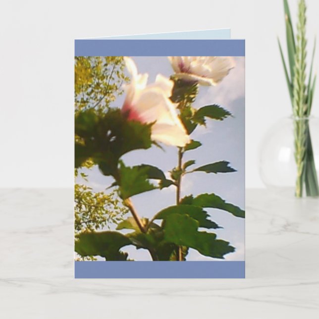 Long Stem White Roses Card (Front)