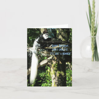 Long Tail Monkey in a Tree Card