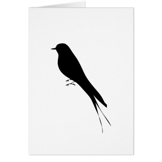 long tailed bird cards (Front)