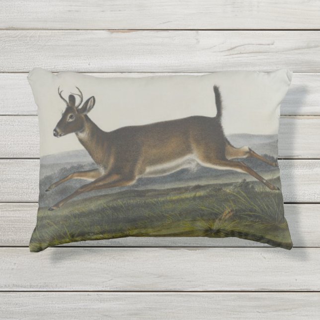 Long Tailed Deer by John James Audubon Outdoor Pillow (Front)