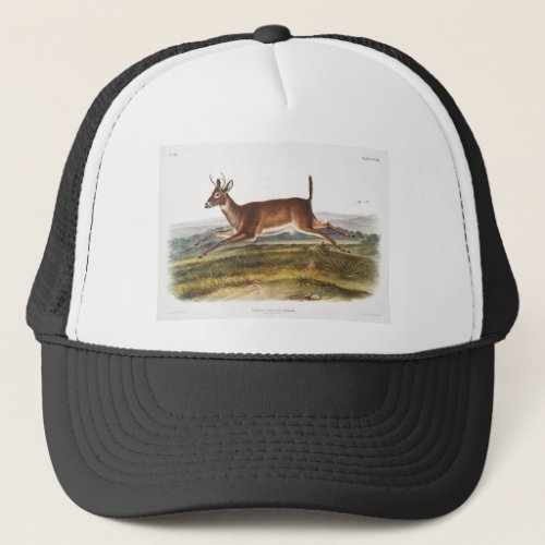 Long tailed Deer Camping Gear Gifts Trucker Hat