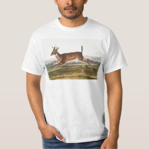 Long-tailed Deer (Cervus leucurus) Illustration T-Shirt