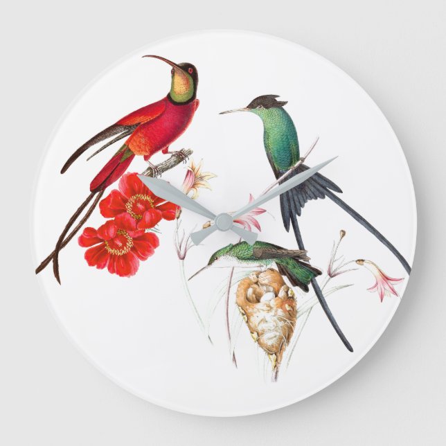 Long Tailed Hummingbird Birds Floral Wall Clock (Front)