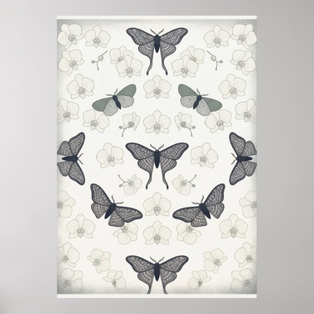 Long Tailed Moth Ivory Orchid Pattern Poster (Front)