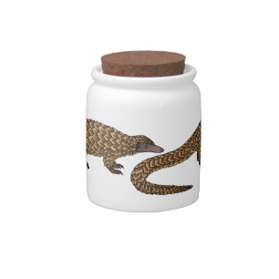 Long-tailed pangolin cartoon illustration candy jar