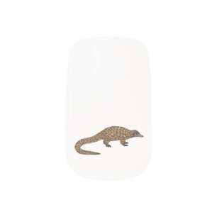 Long-tailed pangolin cartoon illustration  minx nail art