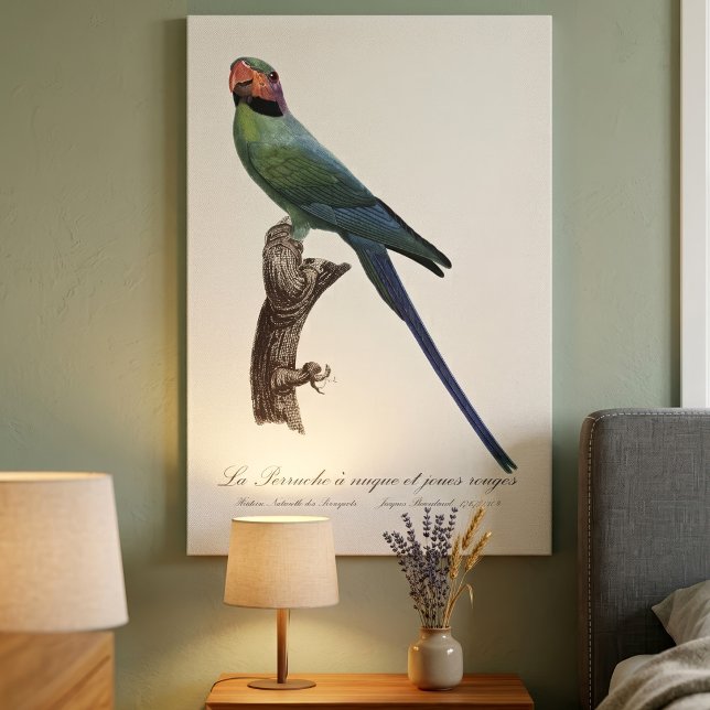 Long-Tailed Parakeet, Psittacula Longicauda Canvas Print (Long-Tailed Parakeet, Psittacula Longicauda. Canvas Print)