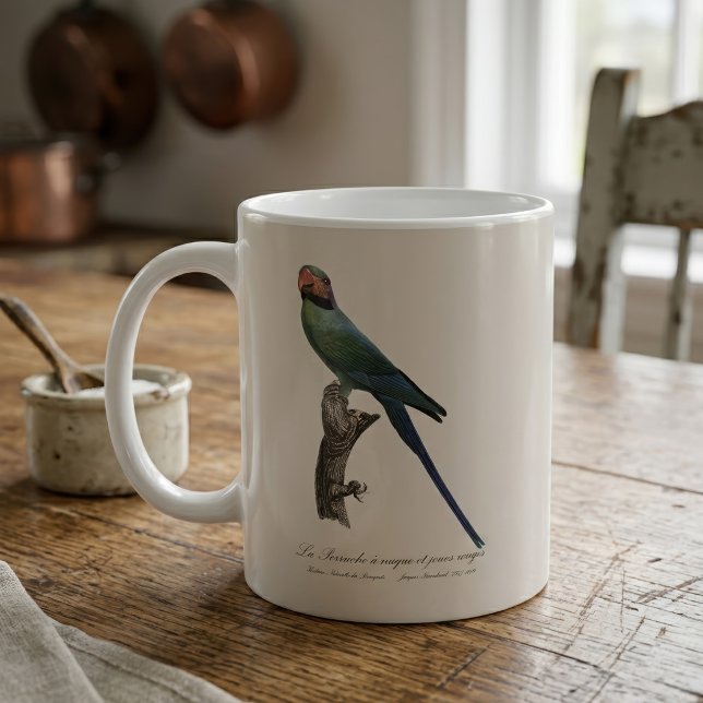 Long-Tailed Parakeet, Psittacula Longicauda Coffee Mug (Long-Tailed Parakeet, Psittacula Longicauda. Coffee Mug)