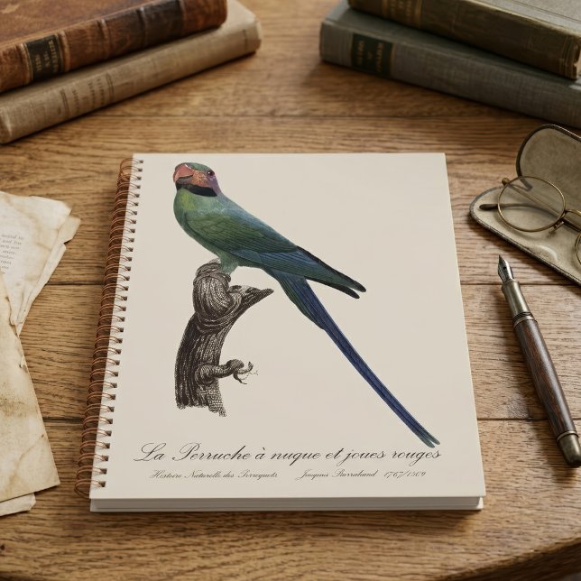 Long-Tailed Parakeet, Psittacula Longicauda Planner (Long-Tailed Parakeet, Psittacula Longicauda. Planner)