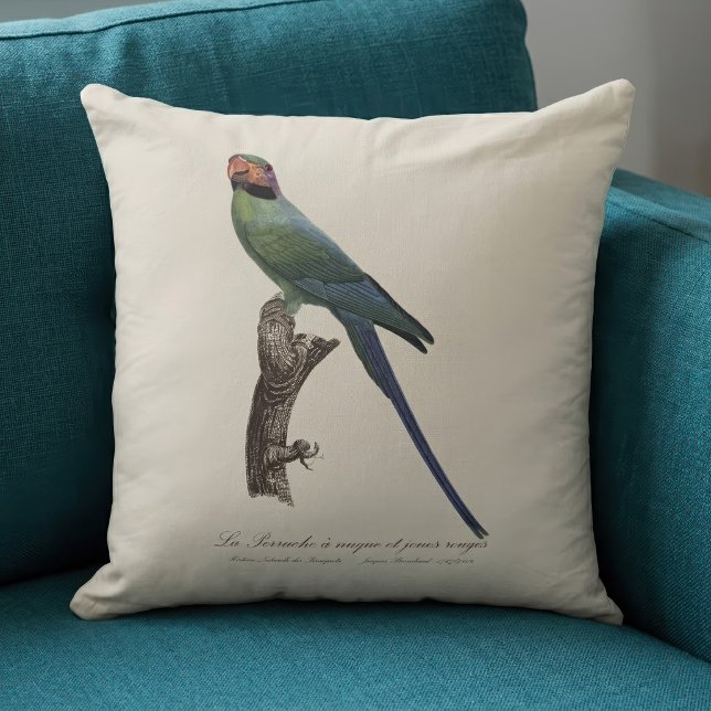 Long-Tailed Parakeet, Psittacula Longicauda Throw Pillow (Long-Tailed Parakeet, Psittacula Longicauda. Throw Pillow)