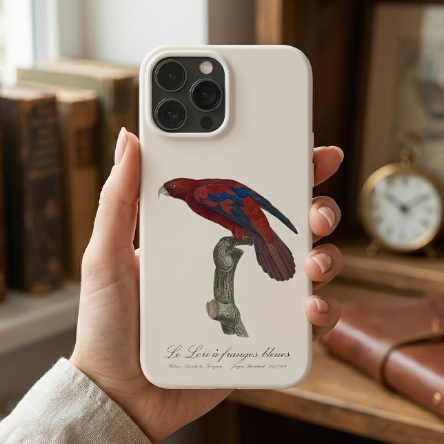 Long-Tailed Red Lory, Trichoglossus borneus Case-Mate iPhone Case (Long-Tailed Red Lory, Trichoglossus borneus. iPhone Case)