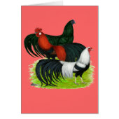 Long-tailed Rooster Trio (Front)