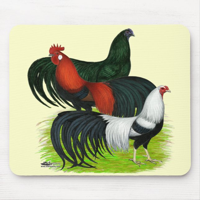 Long-tailed Rooster Trio Mouse Pad (Front)