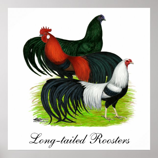 Long-tailed Rooster Trio Poster (Front)