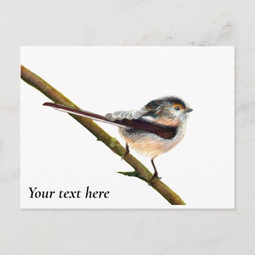 Long_tailed Tit Bird Watercolor Painting Postcard