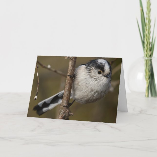 LONG TAILED TIT CARD (Front)