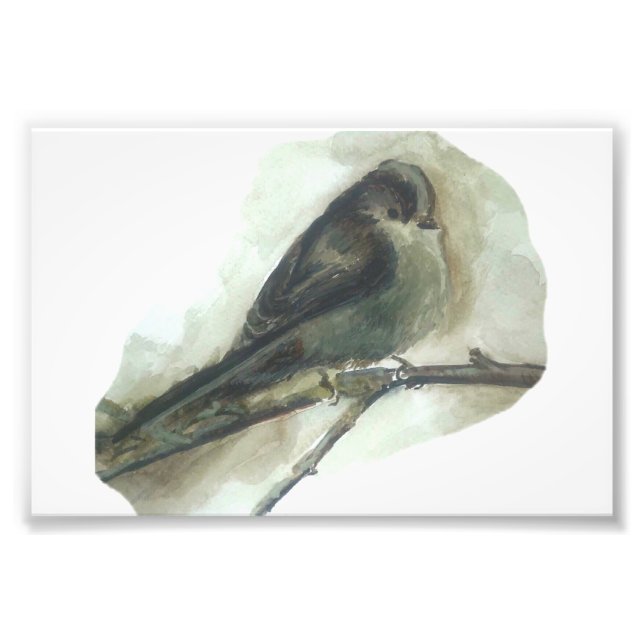 Long tailed tit garden bird watercolour print (Front)