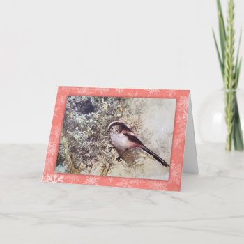 Long-tailed Tit Vintage Christmas Card by Past_Impressions at Zazzle