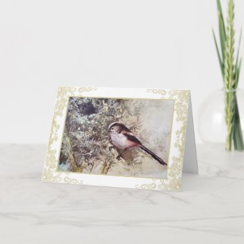 Long-thai Tit Vintage Card by Past_Impressions at Zazzle
