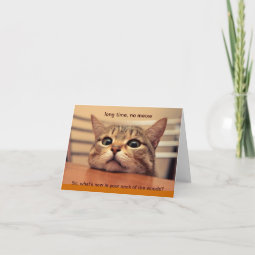 Long Time, No Meow Card | Zazzle