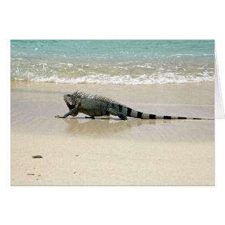 Long Walks on the Beach Cards