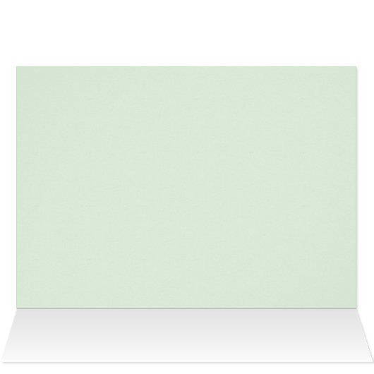 Long Wing Zebra Butterfly (Inside Horizontal (Top))