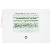 Long Wing Zebra Butterfly Cards (Back Horizontal)