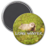 Long winter magnet