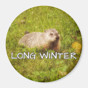 Long winter magnet