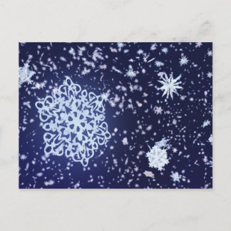 Long Winter's Night Postcard