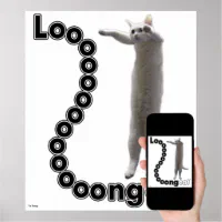 longcat is long