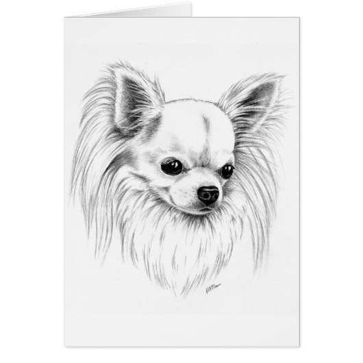 Longcoat chihuahua cards (Front)