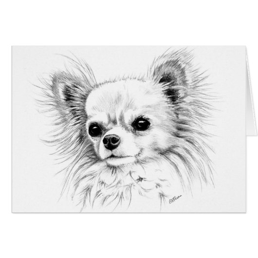 Longcoat chihuahua cards (Front Horizontal)
