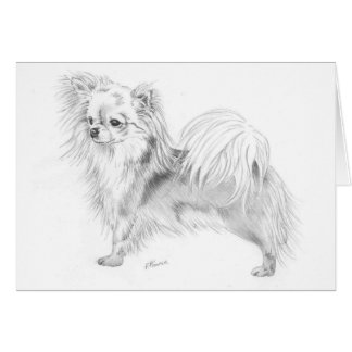 Longcoat chihuahua - standing cards