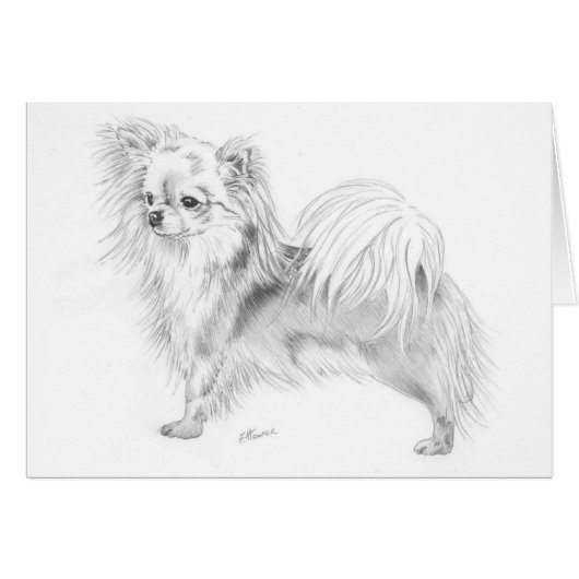 Longcoat chihuahua - standing cards (Front Horizontal)
