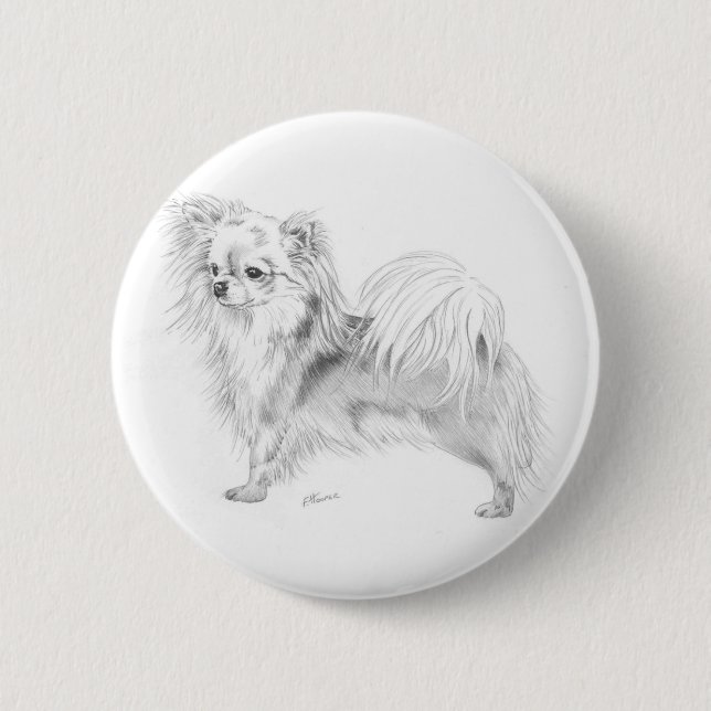 Longcoat chihuahua - standing pinback button (Front)