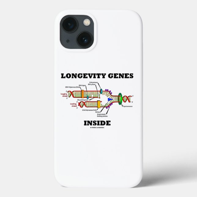 Longevity Genes Inside DNA Replication Humor Case-Mate iPhone Case (Back)